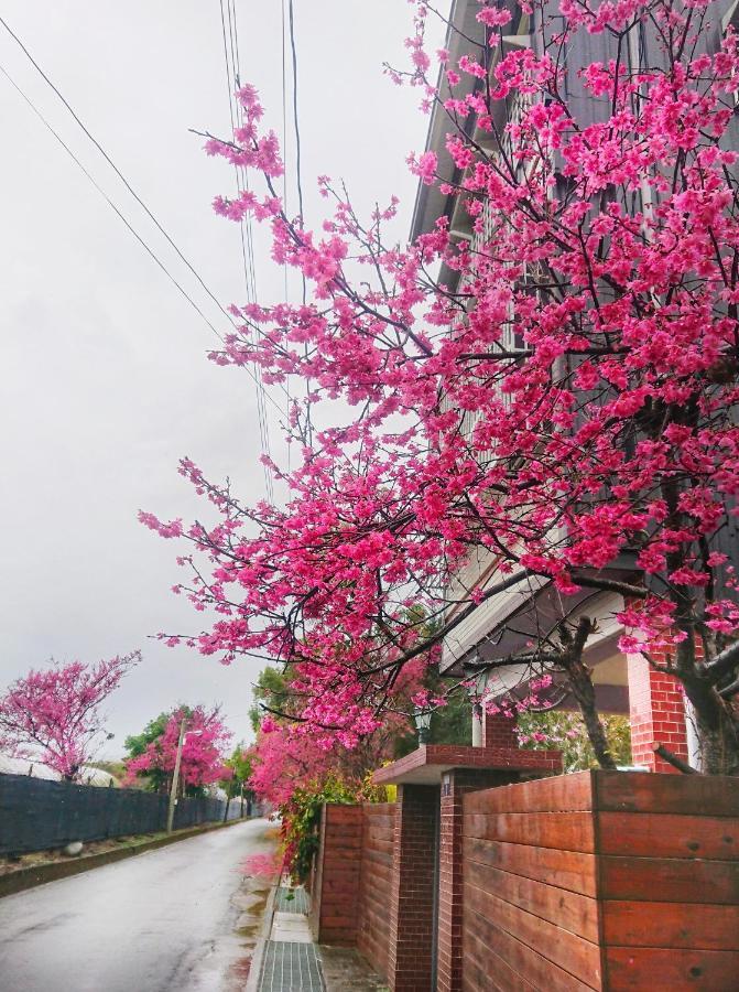 Xinshe Xiao Shu Time Homestay Exterior foto